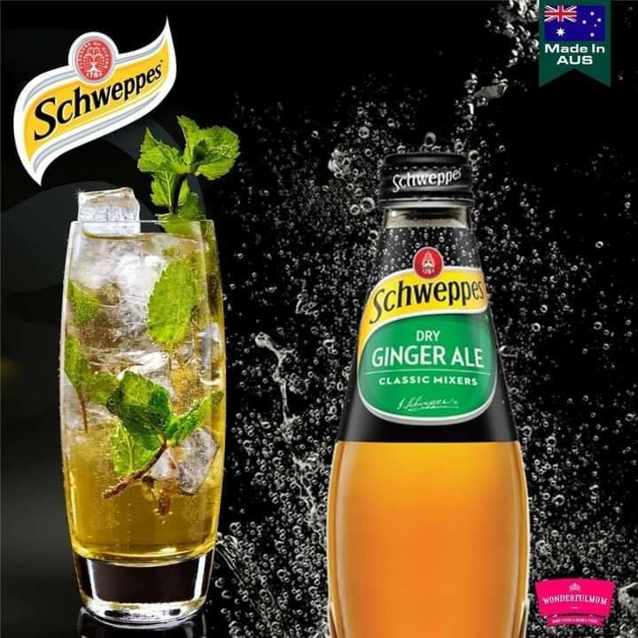 Schweppes Dry Ginger Ale 300ml