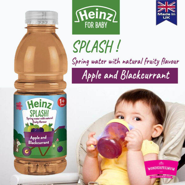 Heinz Splash Apple & Blackcurrant Juice 1+Years 500Ml