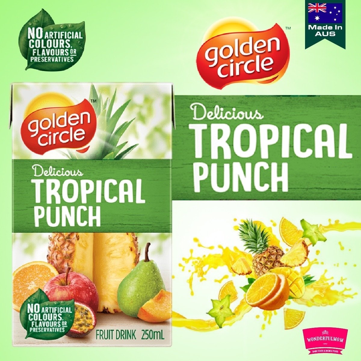 Golden Circle Tropical Punch Fruit Drink 250ml
